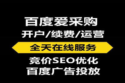专业SEM运营托管服务案例分析